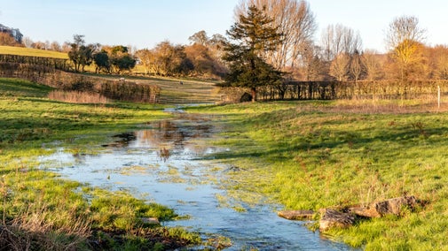 View of the chalk stream at Hughenden with autumn leaves on the trees